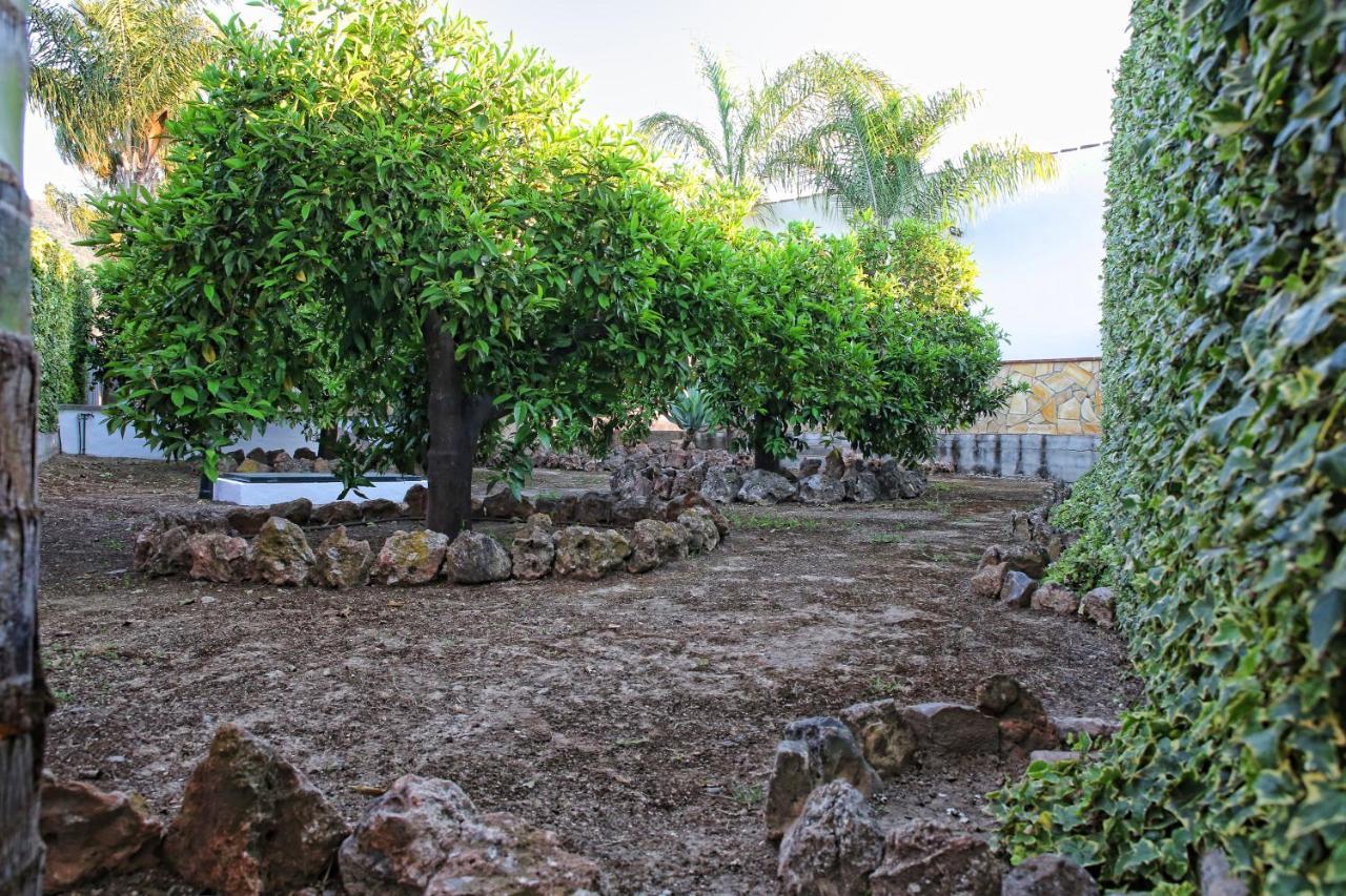 Casa Rural Tipica Andaluza, Wifi,Piscina, Barbacoa, Aire Acondicionado, 5Min Centros 알하우린엘그란데 외부 사진
