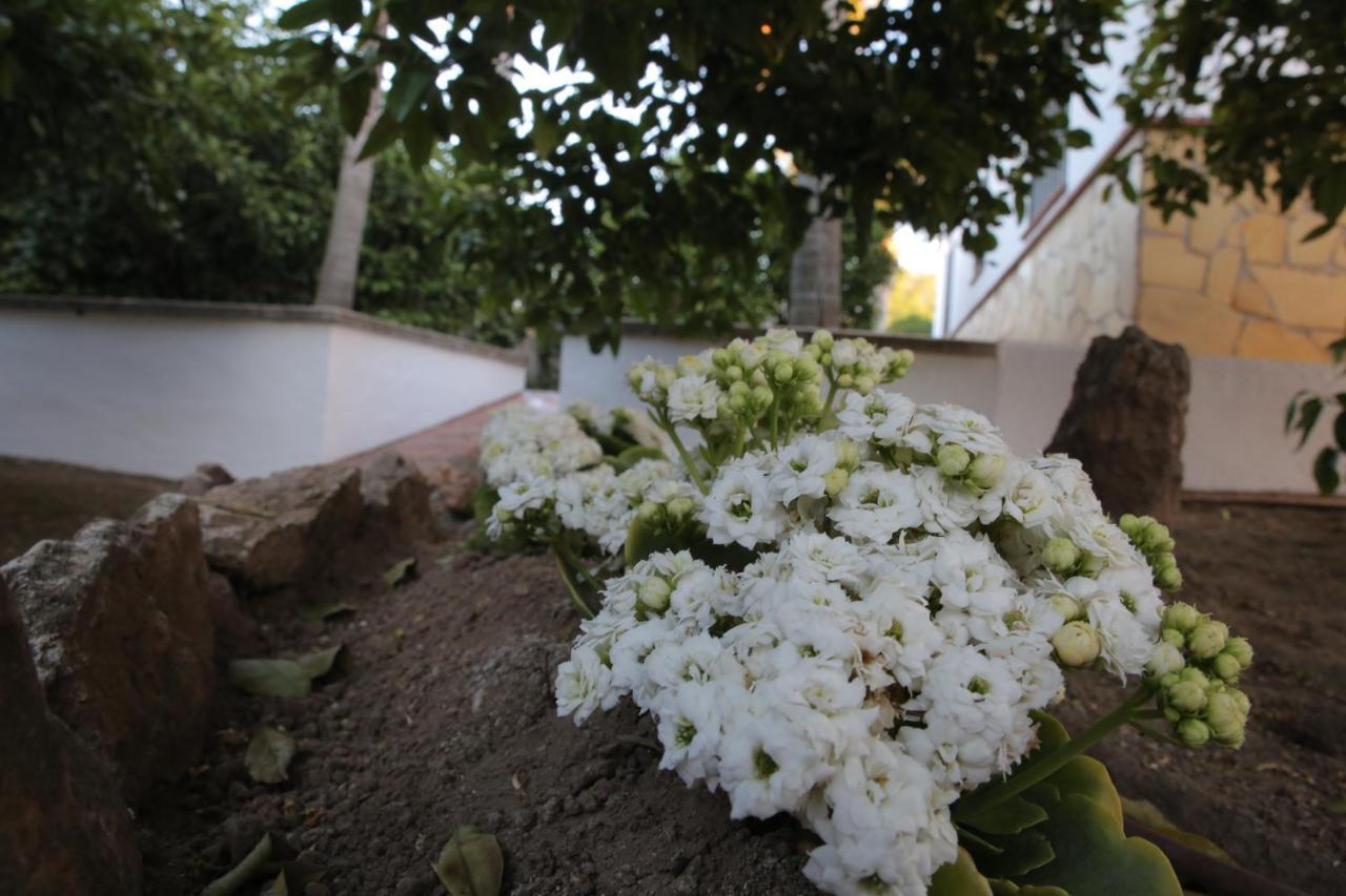 Casa Rural Tipica Andaluza, Wifi,Piscina, Barbacoa, Aire Acondicionado, 5Min Centros 알하우린엘그란데 외부 사진