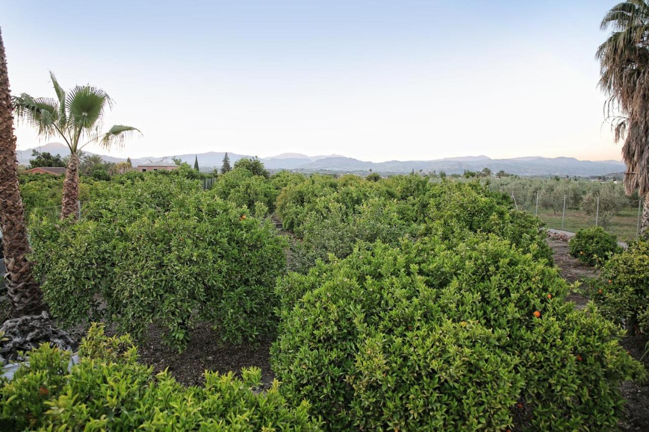 Casa Rural Tipica Andaluza, Wifi,Piscina, Barbacoa, Aire Acondicionado, 5Min Centros 알하우린엘그란데 외부 사진